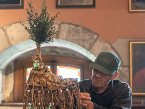 Légendes Botaniques / Château de Menthon – Annecy