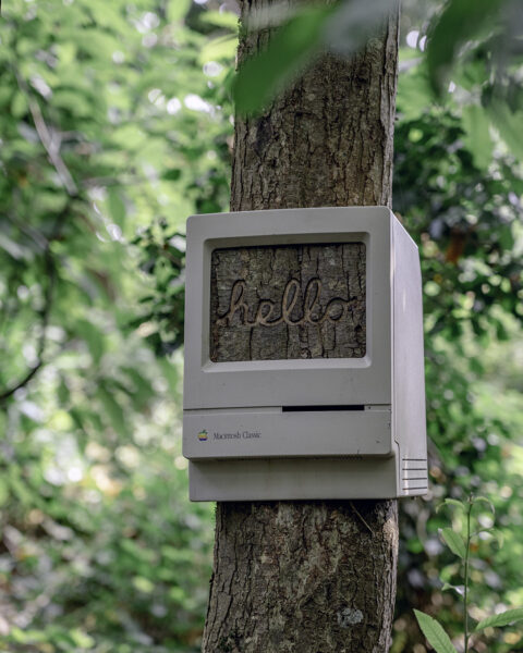 Plant your Mac Plant your Mac