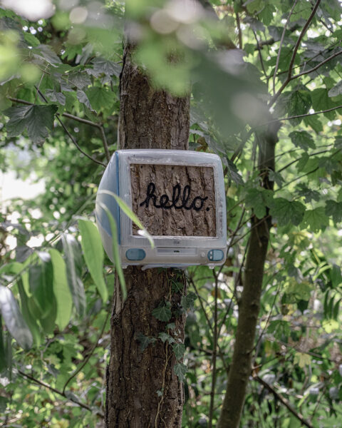 Plant your Mac Plant your Mac