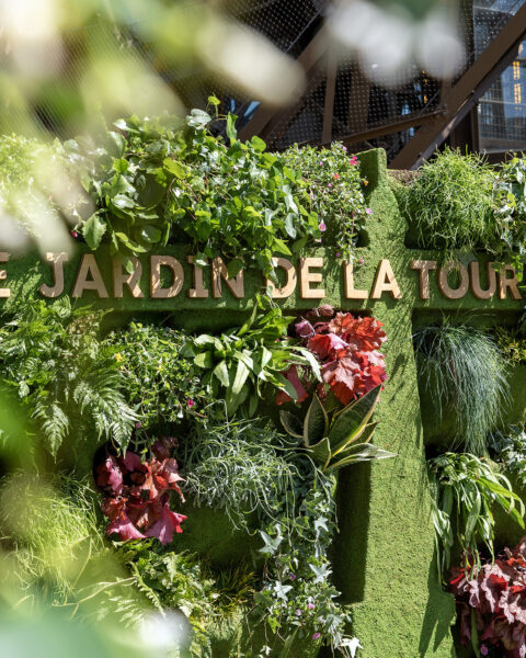Le Jardin de la Tour Le Jardin de la Tour