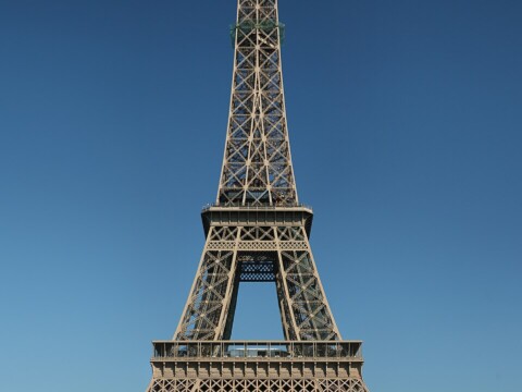 Eiffel Human Plant ~ Tour Eiffel