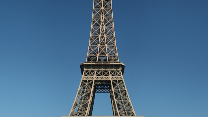 Eiffel Human Plant ~ Tour Eiffel