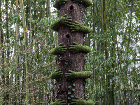 Terra Botanica / France – Angers