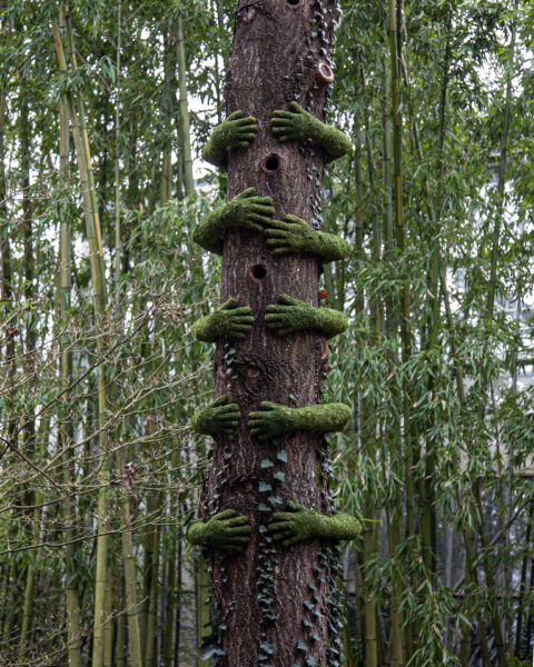 Terra Botanica / France – Angers