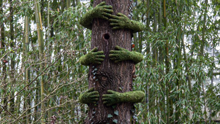 Terra Botanica / France – Angers