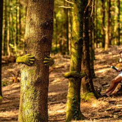 Forest of Dean Sculpture