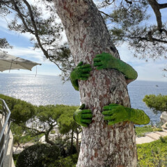 Les Rôches Blanches