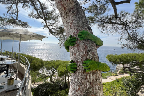 Les Rôches Blanches