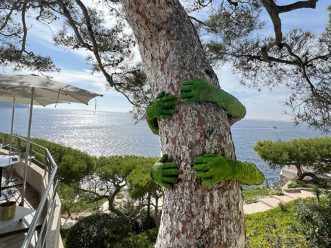 Les Rôches Blanches