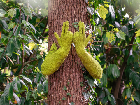 Human Tree