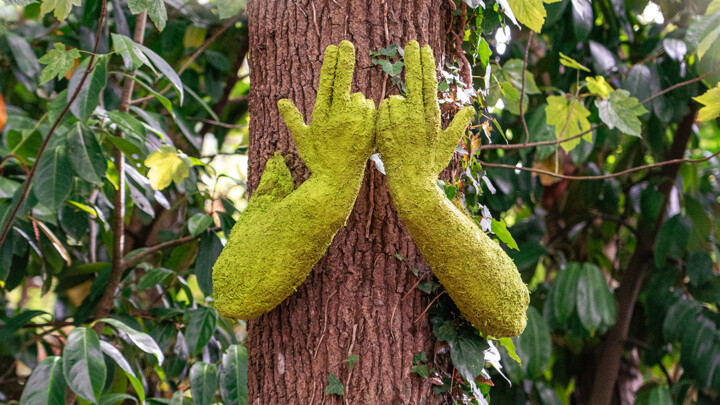 Human Tree