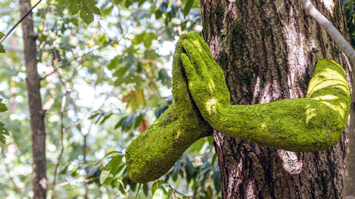 Human Tree