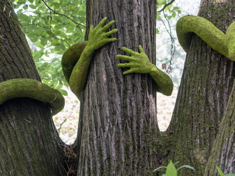 Tree Hug – Maison Chateaubriand