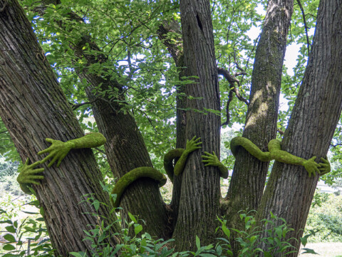 Tree Hug – Maison Chateaubriand