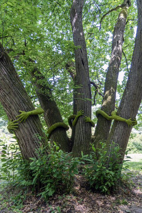 Tree Hug – Maison Chateaubriand