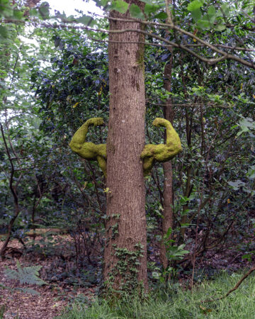THE POWER OF NATURE