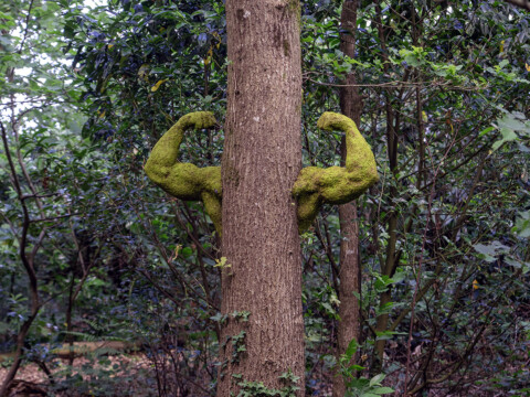 THE POWER OF NATURE