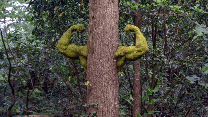 THE POWER OF NATURE