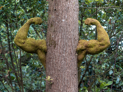 THE POWER OF NATURE