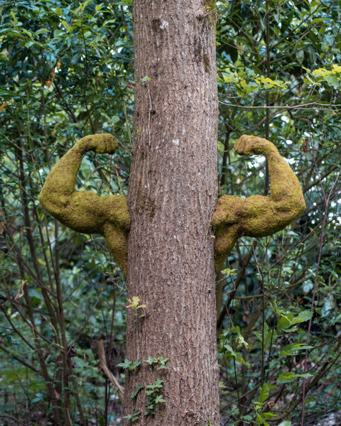 THE POWER OF NATURE