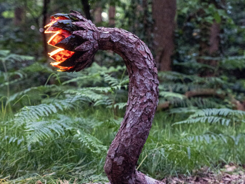 The Awakening of the Sap