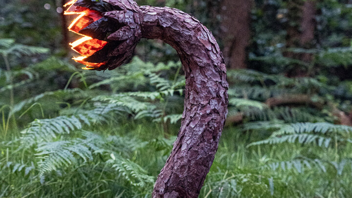 The Awakening of the Sap