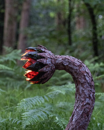 The Awakening of the Sap