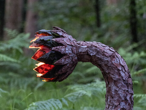 The Awakening of the Sap