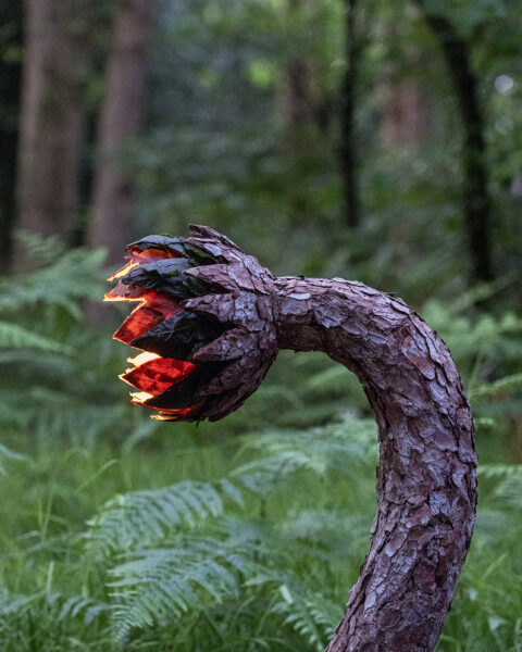 The Awakening of the Sap