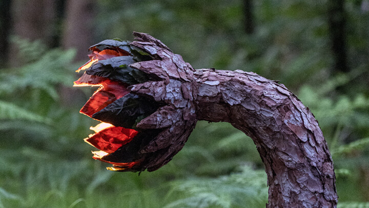 The Awakening of the Sap
